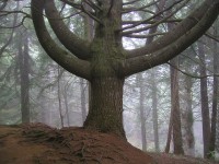 /album/fotogalerie-7-den/caldeirao-verde-2-jpg/